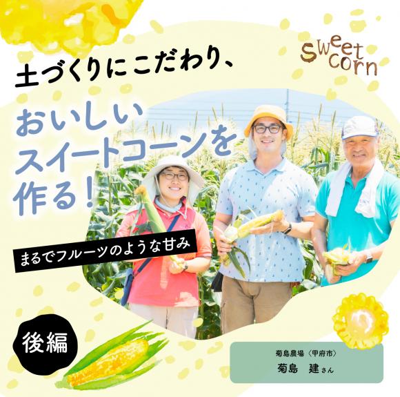 Sweetcorn2_sum2