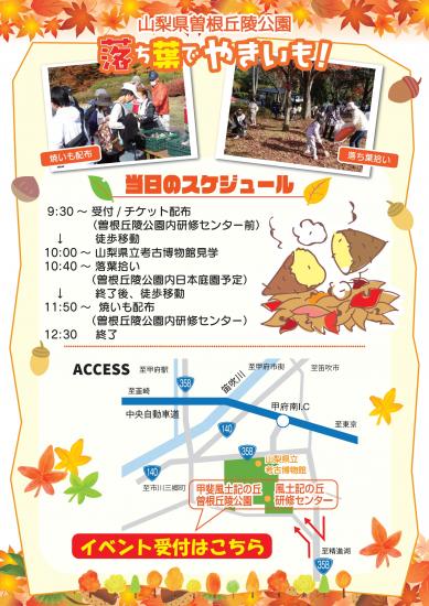 画像：「落ち葉でやきいも！」のご案内（裏）