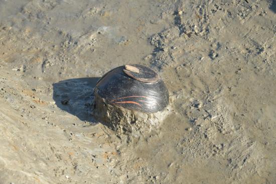 大津天神堂遺跡2