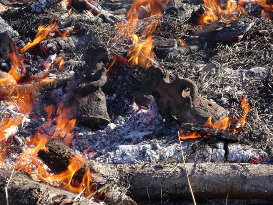 画像：野焼きの様子