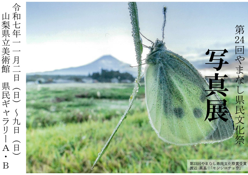 写真展お知らせ