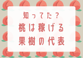モモは稼げる果樹の代表