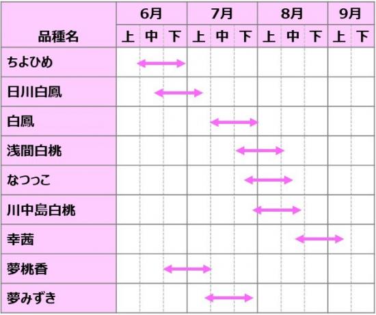 モモ出荷時期