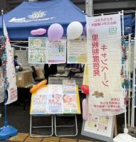 ヴァンフォーレ