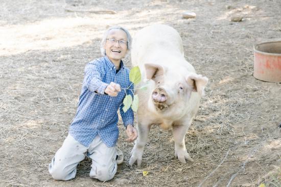 cueillette_boohoowoo02_07