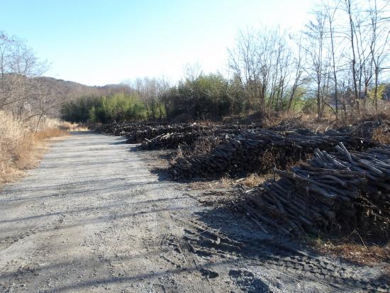 配布前(鳳来橋)