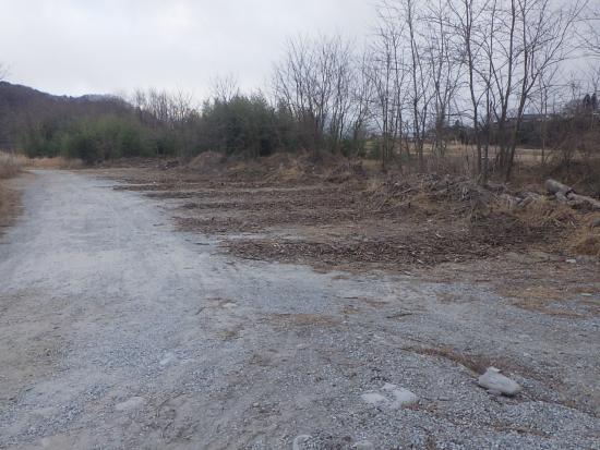 配布後(鳳来橋)