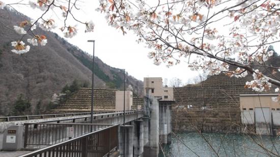 令和7年4月11日の深城ダム