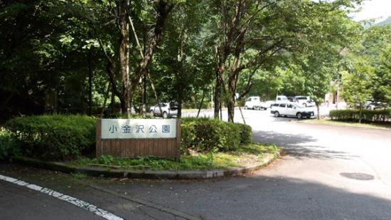 令和7年7月4日の小金沢公園1