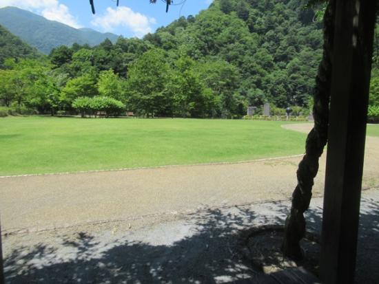 令和7年7月30日の小金沢公園