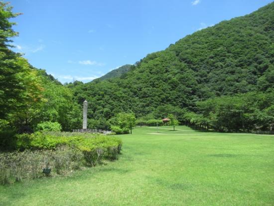 令和6年7月4日の小金沢公園