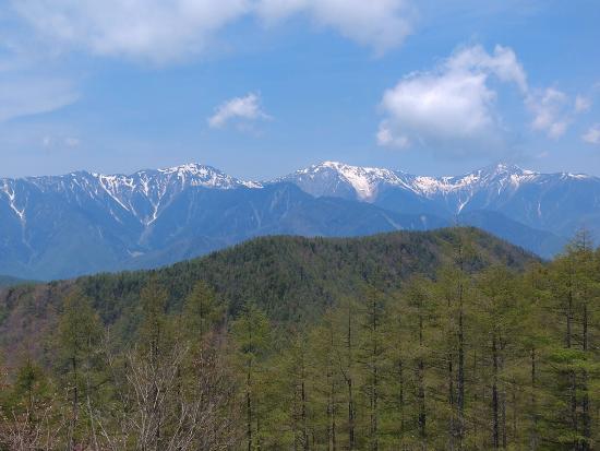 南アルプスと新緑のカラマツ