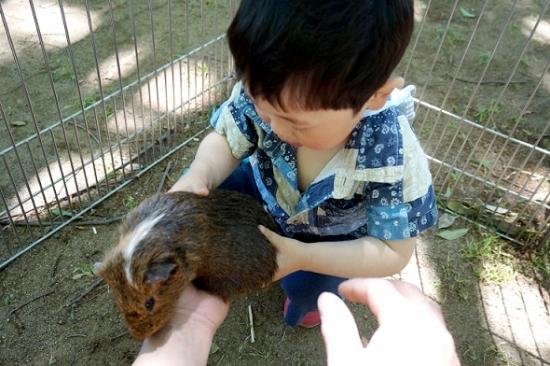 画像:動物とのふれあいの様子