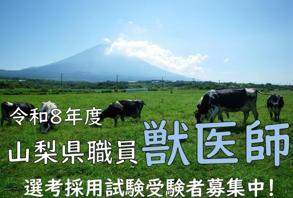 R8jyuuishisaiyouannnai