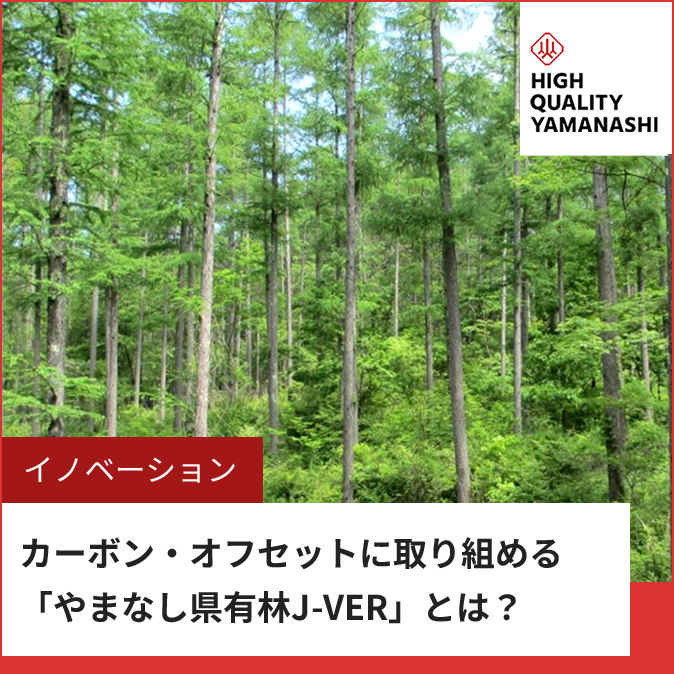 カーボン・オフセットに取り組める「やまなし県有林J-VER」とは？