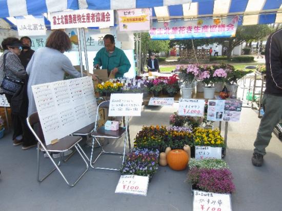 イベントでビオラの販売