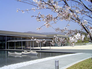 県立博物館の外観