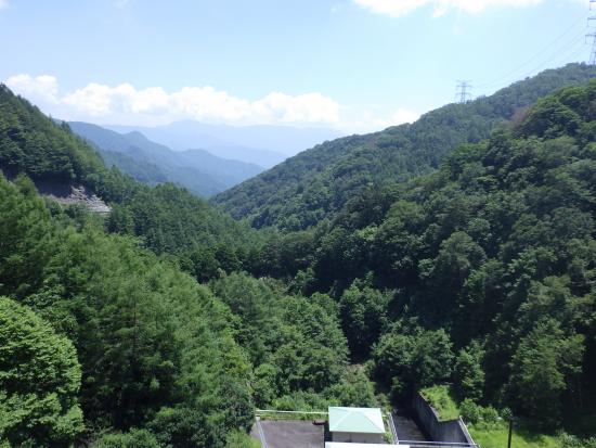 堤体下流側から2026年7月23日の写真