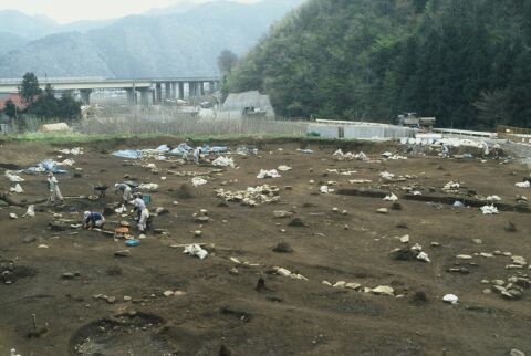 0153_中谷遺跡調査区全景