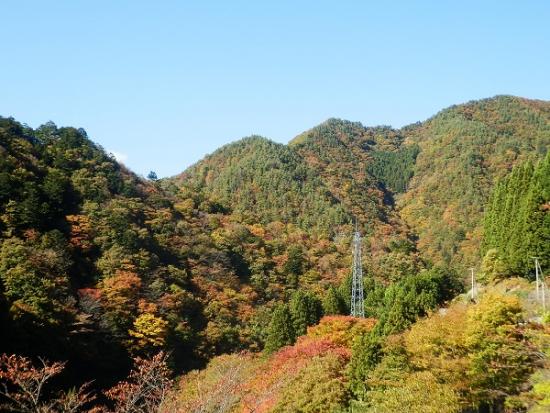 令和4年11月2日に撮影した紅葉1