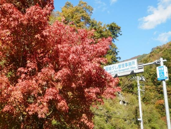 令和5年11月1日に撮影した深城ダム6