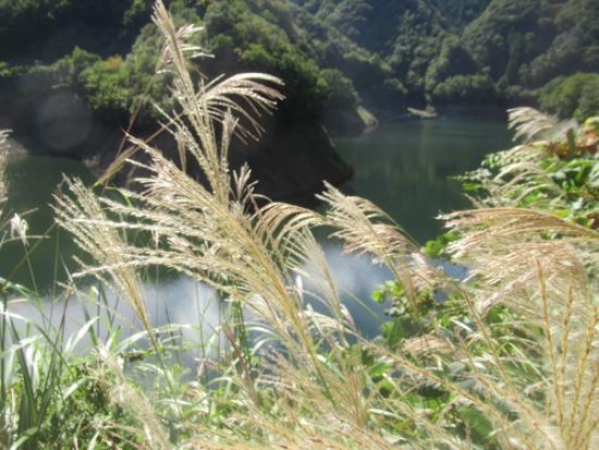 令和7年10月8日の深城ダム