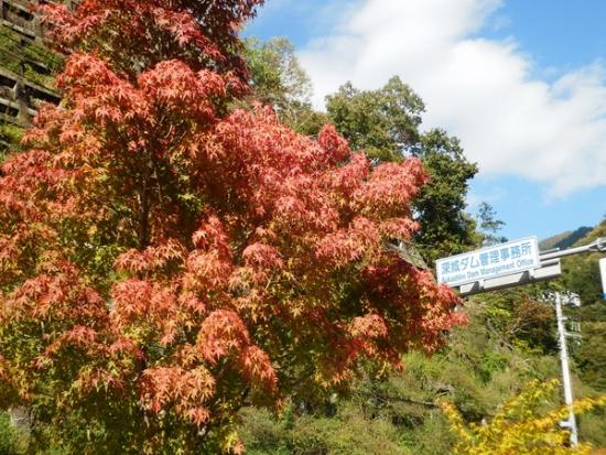 令和7年10月30日の深城ダム1