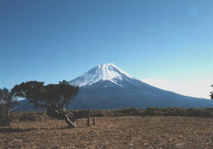 竜ヶ岳よりの富士山