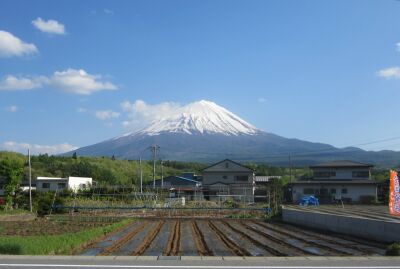 鳴沢から見た富士山