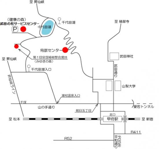 \takeda-akusesuzu