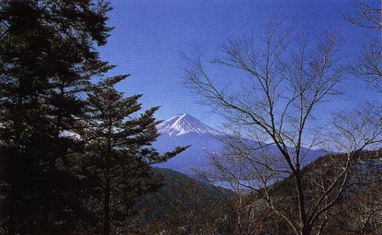 富士山を望む