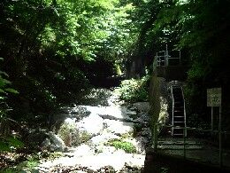 下流側から見た雨沢取水口