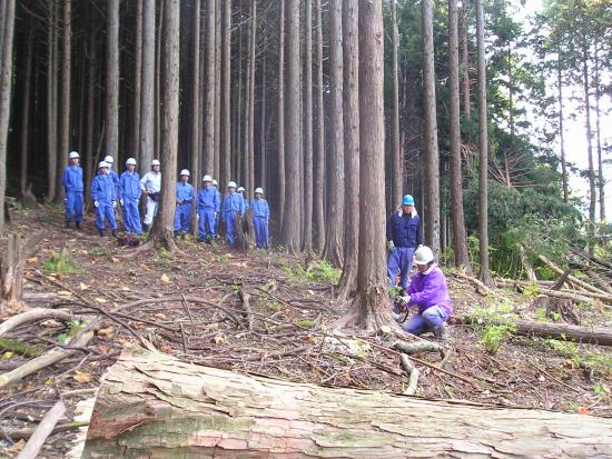 プロによる伐採作業を農林高校生らが見学している様子