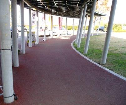 写真1