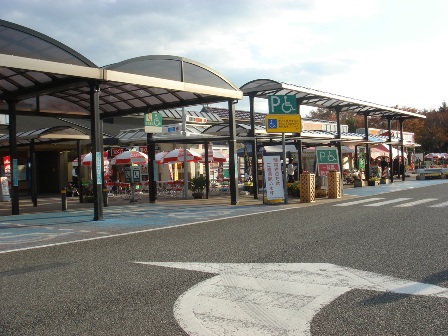 写真2