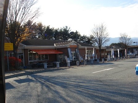写真1