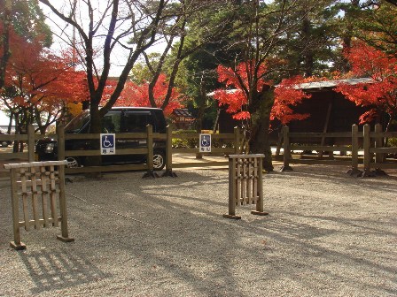 写真1