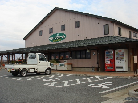 写真1