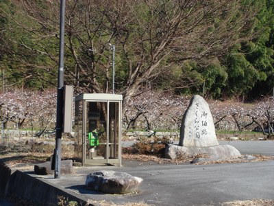 写真1