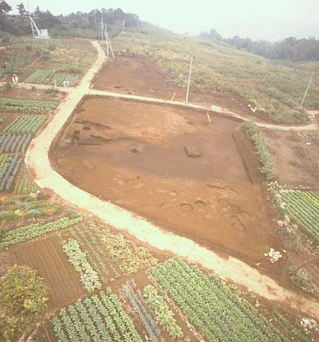 上空から見た菖蒲池遺跡の発掘調査の状況の写真