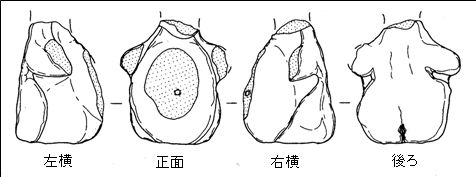 0252大木戸遺跡土偶実測図