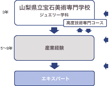 入学からエキスパートへのフローの図