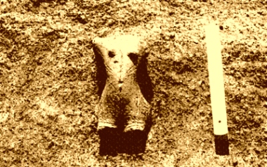 0260)安道寺遺跡の土偶出土状況写真