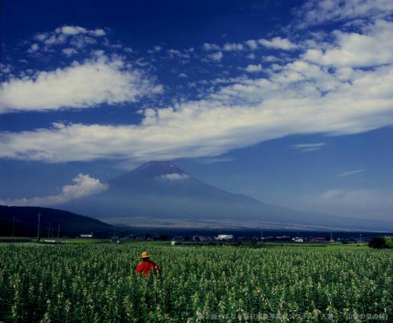 【入選】山麓の夏の朝