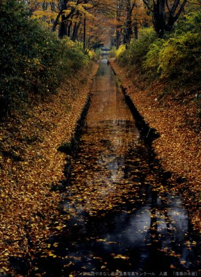 【入選】落葉の水面