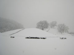雪の銚子塚古墳2008