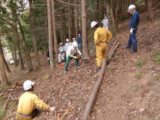 林業安全作業指導研修