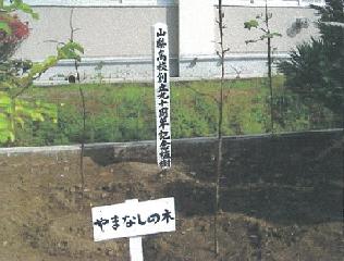 yamanashi-high-school1