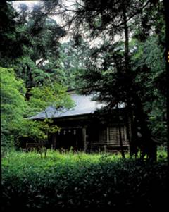 檜峰神社のコノハズク生息地