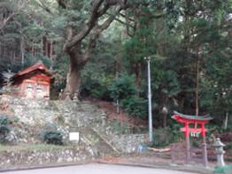 井出八幡神社の社叢